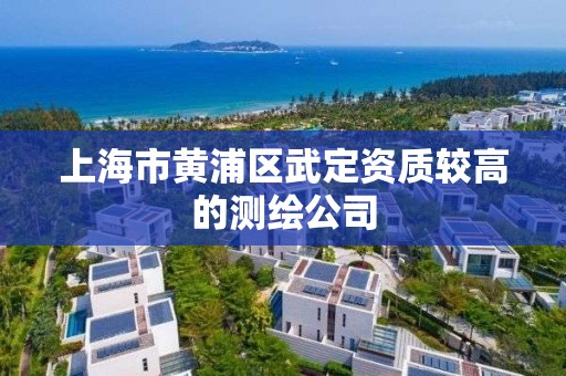 上海市黃浦區武定資質較高的測繪公司