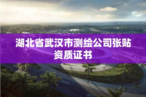 湖北省武漢市測繪公司張貼資質(zhì)證書