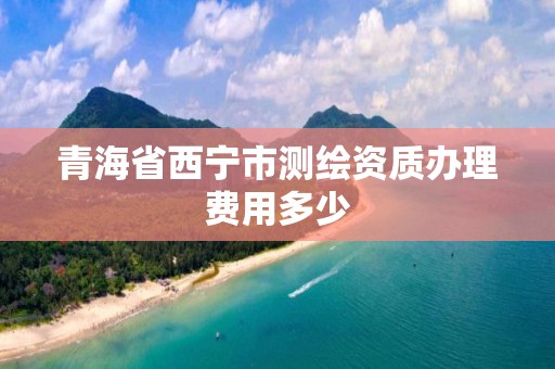 青海省西寧市測繪資質(zhì)辦理費用多少