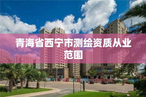 青海省西寧市測繪資質從業范圍