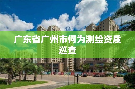 廣東省廣州市何為測(cè)繪資質(zhì)巡查