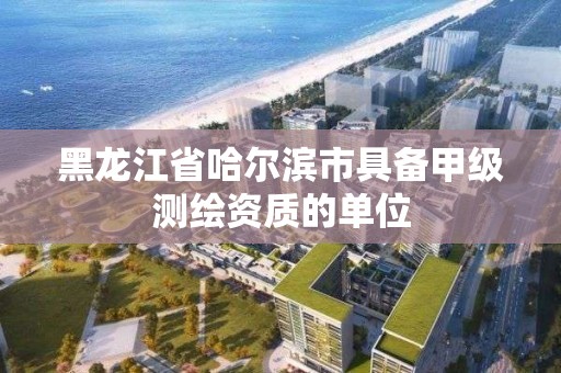 黑龍江省哈爾濱市具備甲級(jí)測(cè)繪資質(zhì)的單位