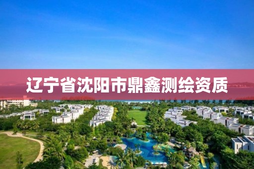 遼寧省沈陽市鼎鑫測繪資質