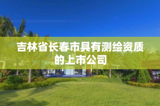 吉林省長春市具有測繪資質(zhì)的上市公司