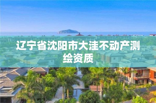 遼寧省沈陽市大洼不動產測繪資質