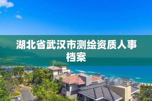 湖北省武漢市測繪資質人事檔案