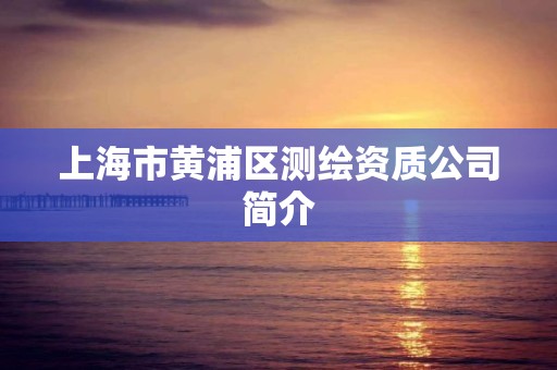 上海市黃浦區測繪資質公司簡介