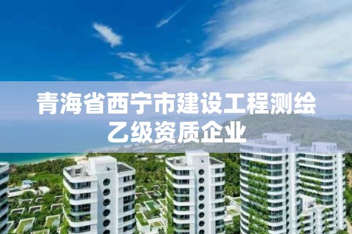 青海省西寧市建設工程測繪乙級資質企業