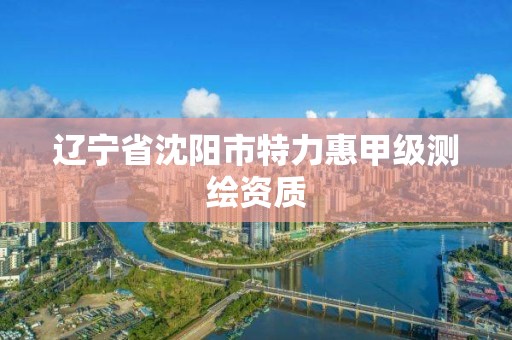 遼寧省沈陽市特力惠甲級測繪資質