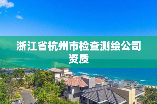 浙江省杭州市檢查測繪公司資質