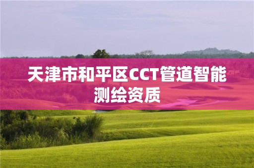 天津市和平區(qū)CCT管道智能測(cè)繪資質(zhì)