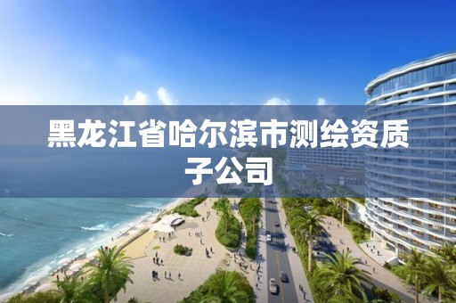 黑龍江省哈爾濱市測繪資質子公司