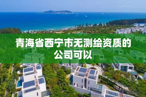 青海省西寧市無測繪資質的公司可以