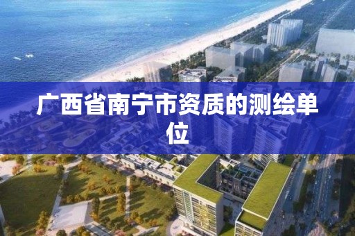 廣西省南寧市資質的測繪單位