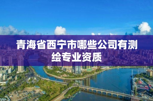 青海省西寧市哪些公司有測繪專業資質