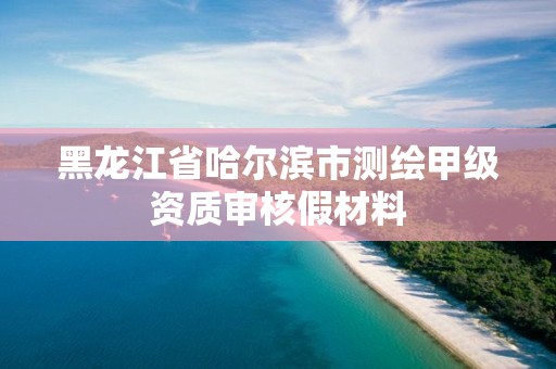 黑龍江省哈爾濱市測繪甲級資質審核假材料