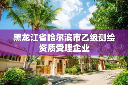 黑龍江省哈爾濱市乙級測繪資質受理企業