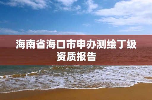 海南省海口市申辦測繪丁級資質報告