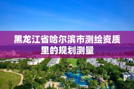 黑龍江省哈爾濱市測繪資質(zhì)里的規(guī)劃測量