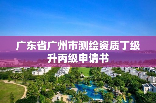 廣東省廣州市測繪資質丁級升丙級申請書