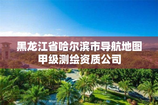 黑龍江省哈爾濱市導航地圖甲級測繪資質公司