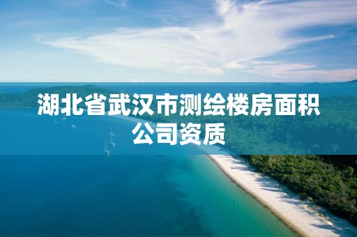 湖北省武漢市測繪樓房面積公司資質