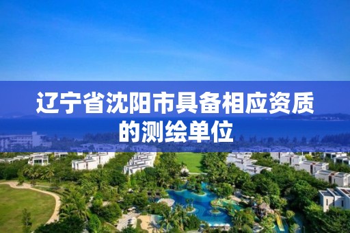 遼寧省沈陽市具備相應資質的測繪單位