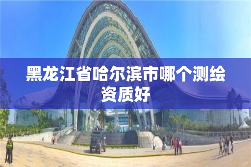 黑龍江省哈爾濱市哪個測繪資質好