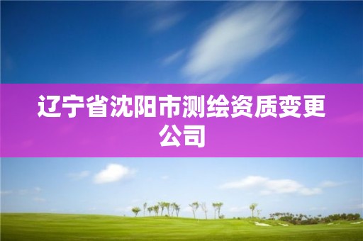 遼寧省沈陽市測繪資質(zhì)變更公司