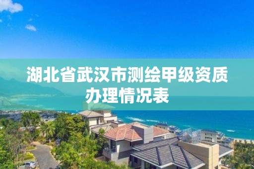 湖北省武漢市測繪甲級資質辦理情況表