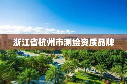 浙江省杭州市測繪資質品牌