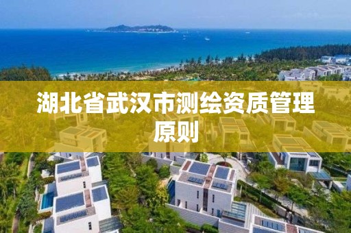 湖北省武漢市測繪資質管理原則