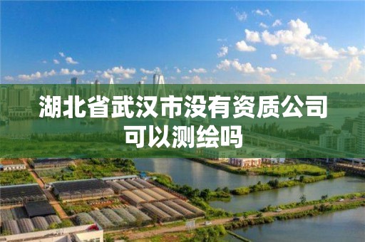 湖北省武漢市沒有資質公司可以測繪嗎