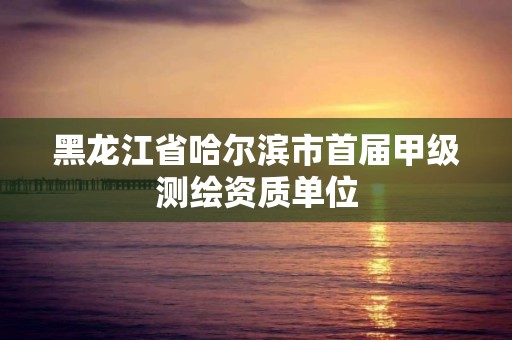 黑龍江省哈爾濱市首屆甲級測繪資質單位