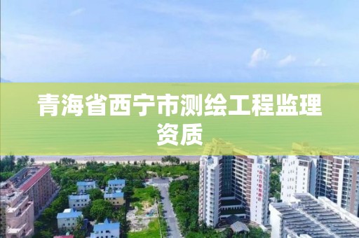 青海省西寧市測繪工程監(jiān)理資質