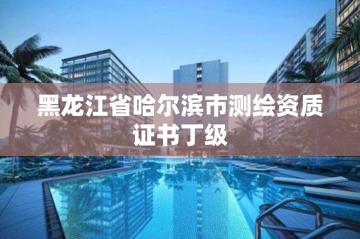 黑龍江省哈爾濱市測繪資質證書丁級