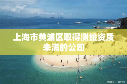 上海市黃浦區取得測繪資質未滿的公司