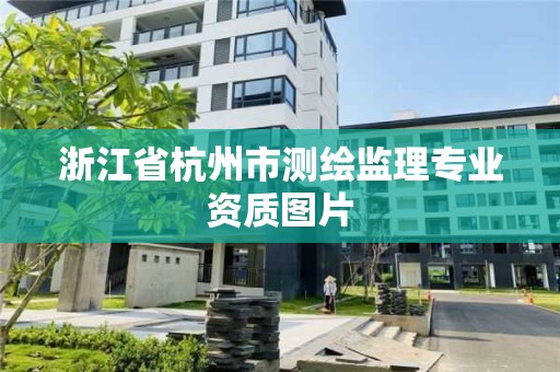 浙江省杭州市測繪監(jiān)理專業(yè)資質(zhì)圖片