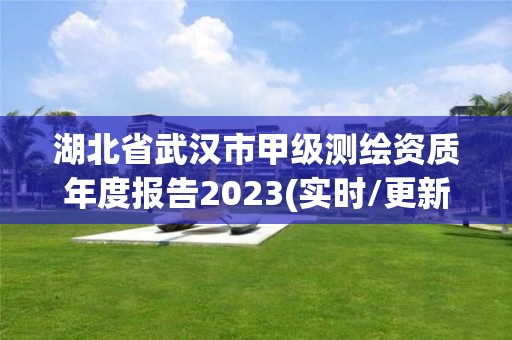 湖北省武漢市甲級(jí)測(cè)繪資質(zhì)年度報(bào)告2023(實(shí)時(shí)/更新中)