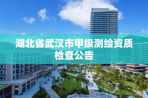 湖北省武漢市甲級測繪資質檢查公告