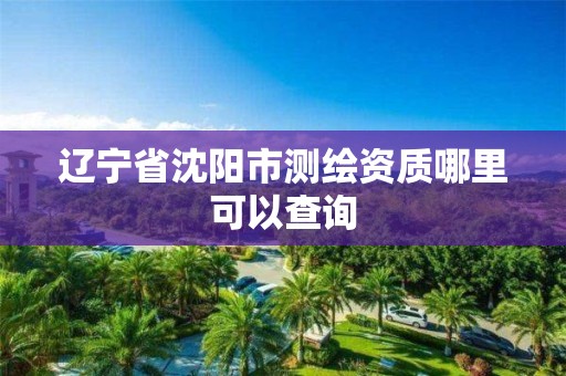 遼寧省沈陽市測繪資質哪里可以查詢