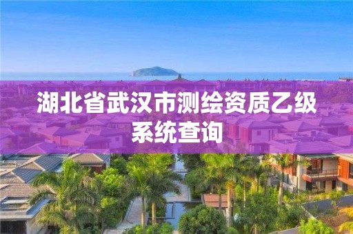 湖北省武漢市測(cè)繪資質(zhì)乙級(jí)系統(tǒng)查詢(xún)