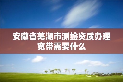 安徽省蕪湖市測繪資質辦理寬帶需要什么