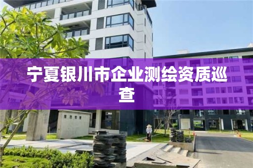 寧夏銀川市企業(yè)測繪資質(zhì)巡查