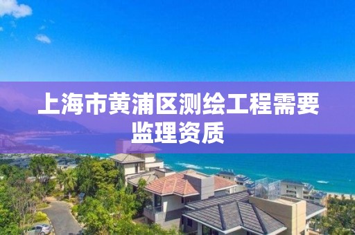 上海市黃浦區測繪工程需要監理資質