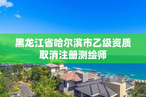 黑龍江省哈爾濱市乙級資質(zhì)取消注冊測繪師