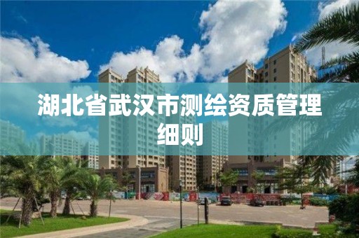 湖北省武漢市測繪資質管理細則