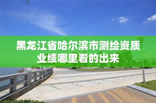 黑龍江省哈爾濱市測繪資質業績哪里看的出來