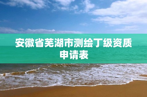 安徽省蕪湖市測(cè)繪丁級(jí)資質(zhì)申請(qǐng)表