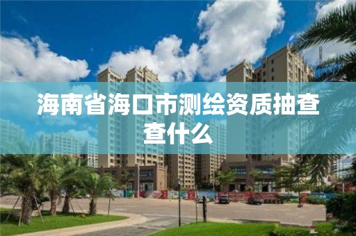 海南省海口市測繪資質抽查查什么